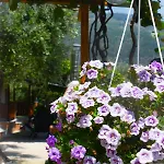 דירה Kapsogeorgis *