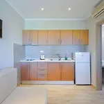 Kapsogeorgis Apartment Koinira