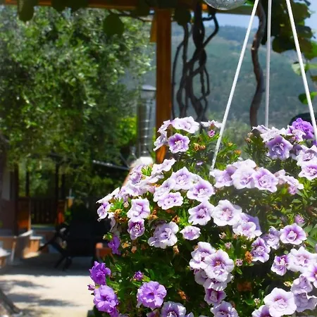 Appartement Kapsogeorgis *