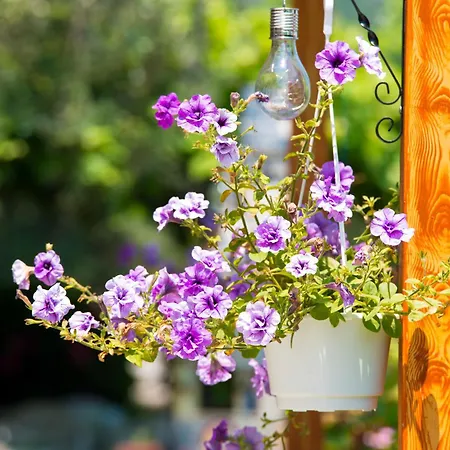 Appartement Kapsogeorgis Koinira