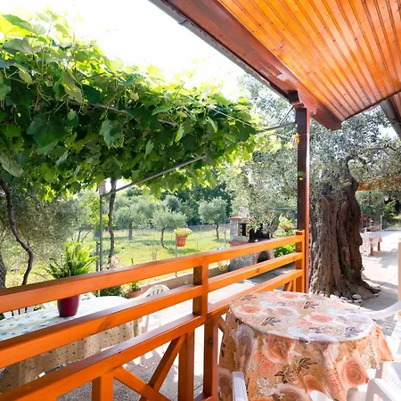 Kapsogeorgis Koinira