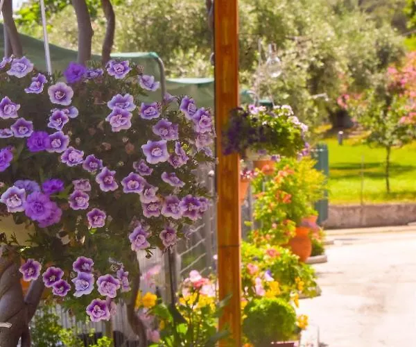 Kapsogeorgis Daire Koinira