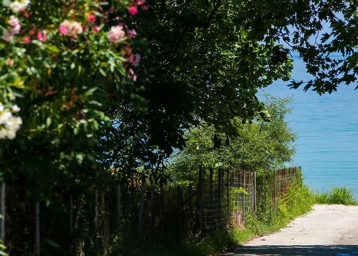 Kapsogeorgis Koinira